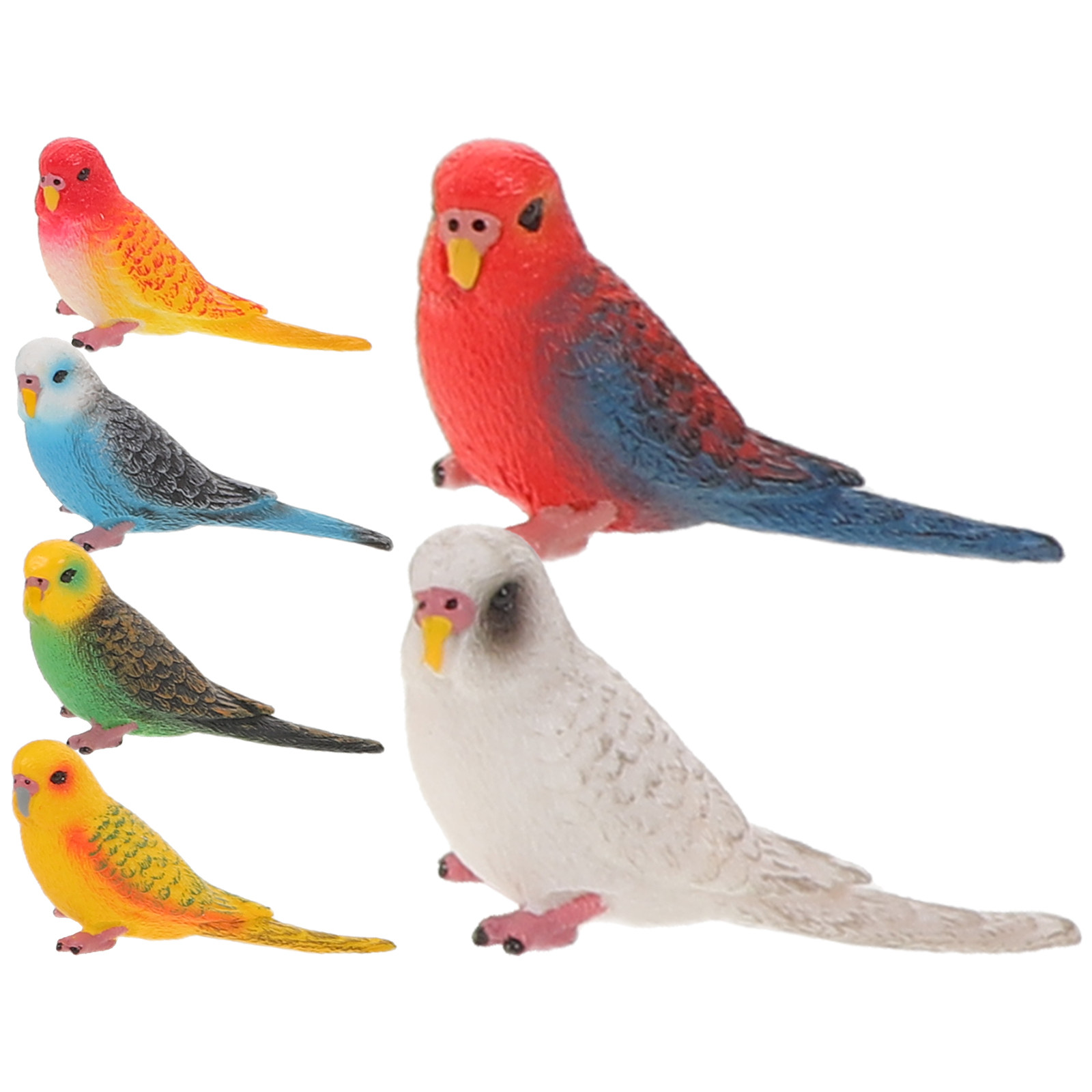 Kids Education Room - 6個入り鮮やかでリアルなインコの装飾品、子供の教育学習環境や鳥のパーティーの記念品に最適なプラスチック製人工鳥