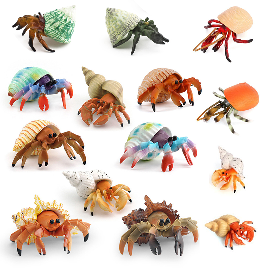 Kids Educational Game - リアルなヤドカリフィギュア耐久性のあるPVC海洋生物動物モデルフィギュア教育玩具子供幼児男の子女の子向け