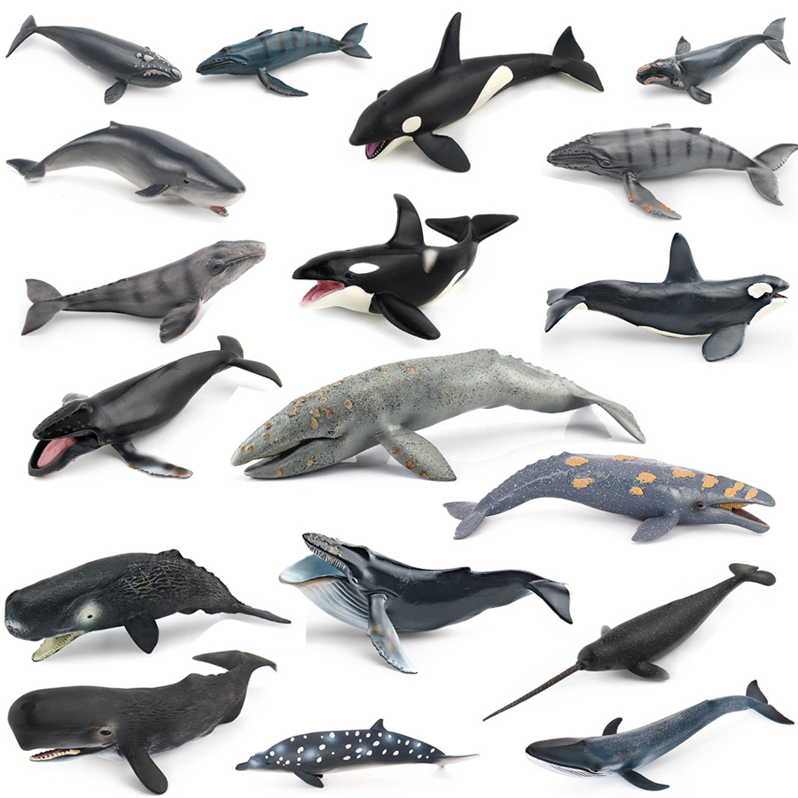 Kids Educational Game - リアルなザトウクジラ、カジキ、イッカク、シャチ、海洋生物動物モデル、アクションフィギュア、教育装飾玩具