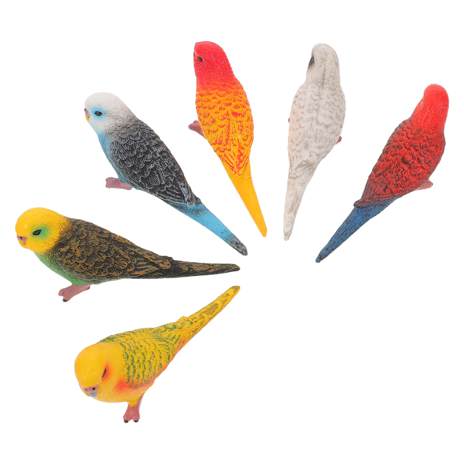 6個入り鮮やかでリアルなインコの装飾品、子供の教育学習環境や - Kids Education Room のレビューと価格