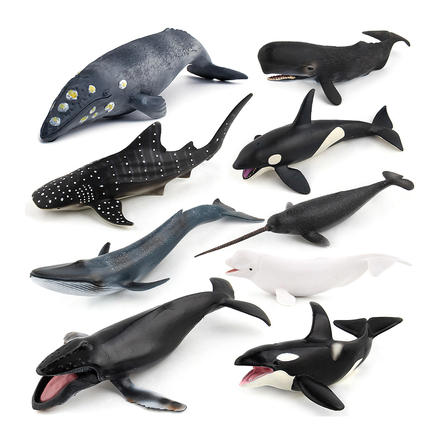 リアルなザトウクジラ、カジキ、イッカク、シャチ、海洋生物動物 - Kids Educational Game のレビューと価格