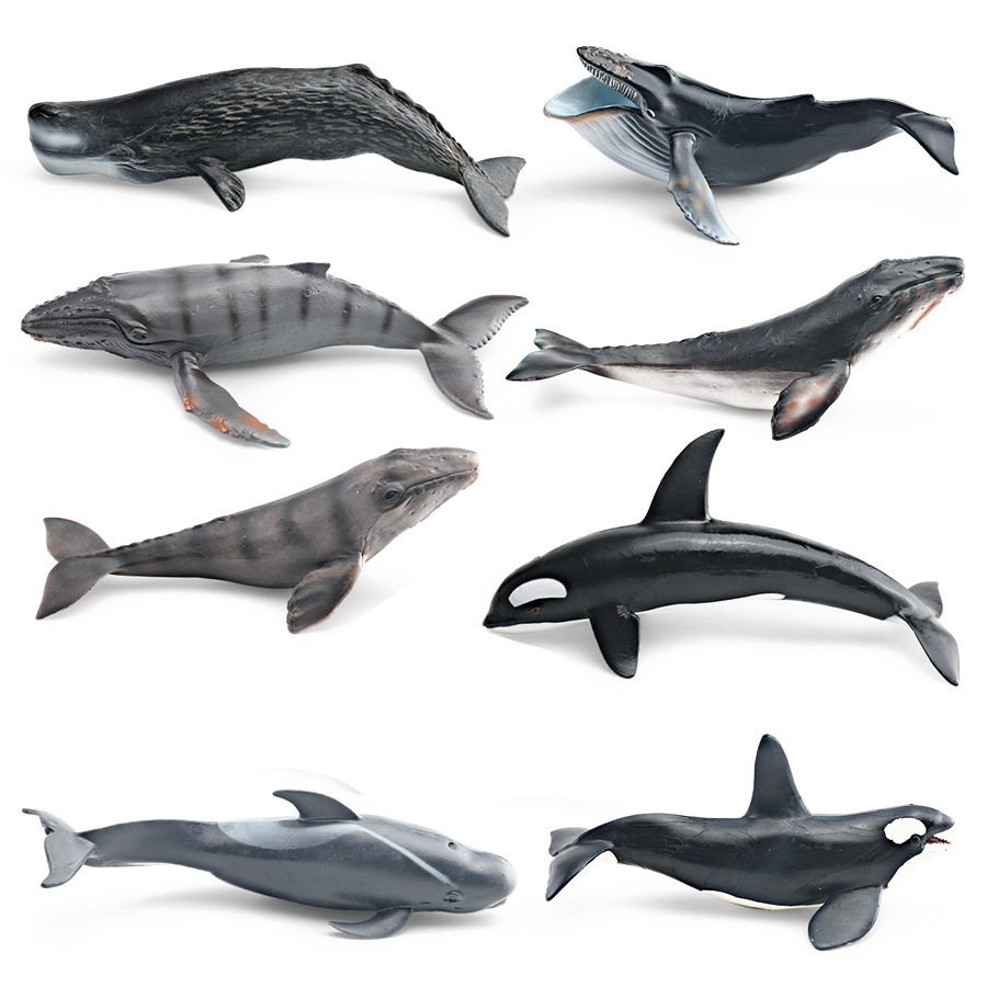 リアルなザトウクジラ、カジキ、イッカク、シャチ、海洋生物動物 - Kids Educational Game のレビューと価格