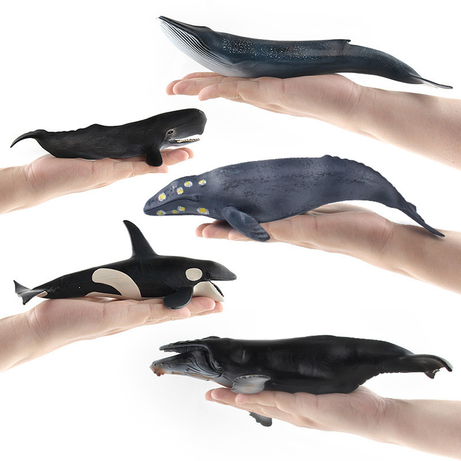 リアルなザトウクジラ、カジキ、イッカク、シャチ、海洋生物動物 - Kids Educational Game のレビューと価格