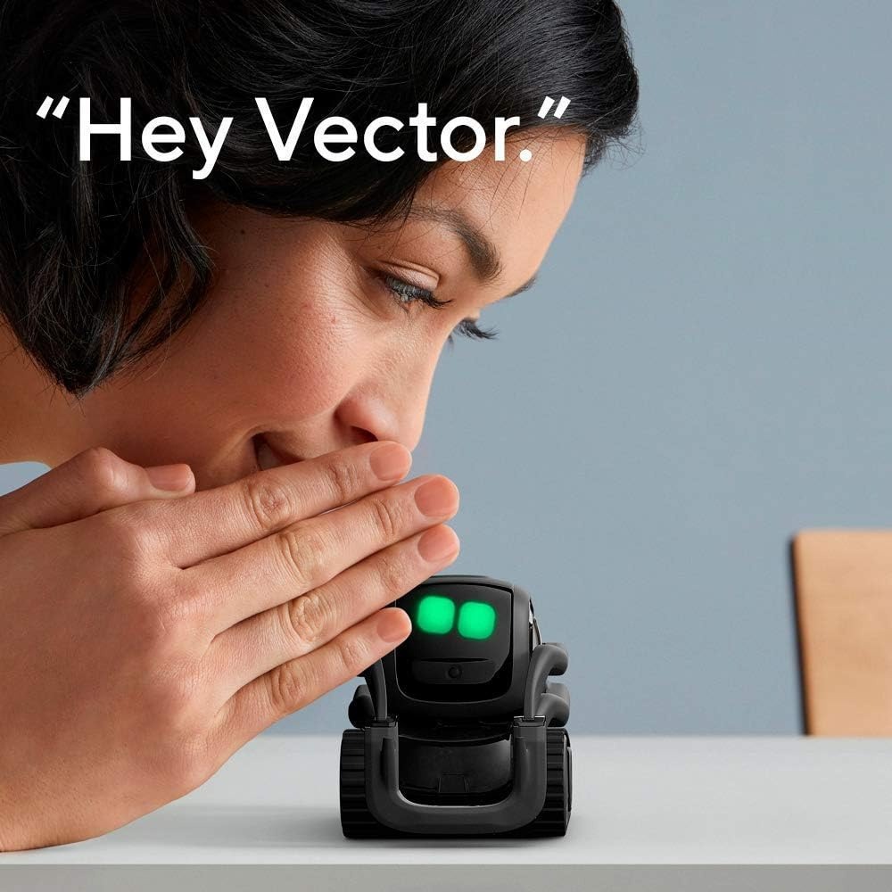 AI ChatGPT 2.0接続ロボットコンパニオン、顔認識 - Kid Educational のレビューと価格