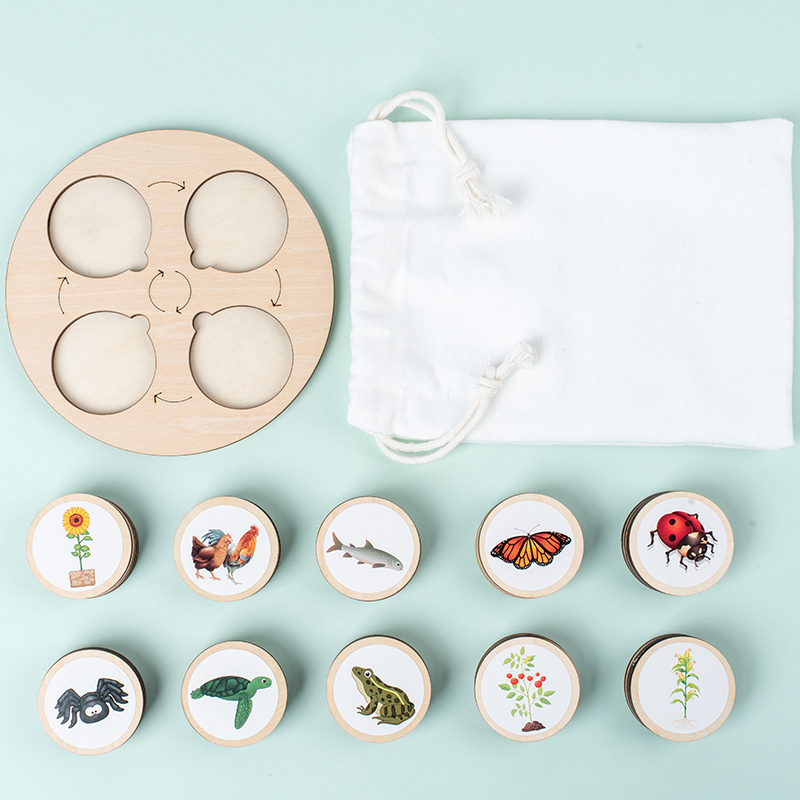 ライフサイクルボードモンテッソーリキット生物学科学教育子供の - Montessori Shelf Toy のレビューと価格
